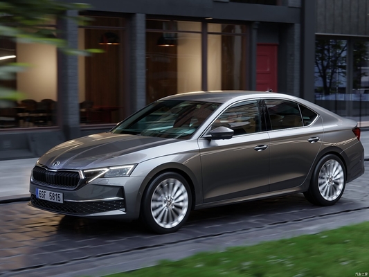 2024 Skoda Octavia Pro TSI280 1.5L бензиновый седан с ESC и нормальным круиз-контролем